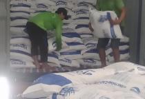 Bốc xếp hàng hóa tại Tân An Long An