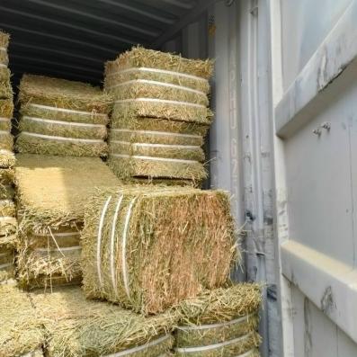 Dịch Vụ Bốc xếp Đồng Nai