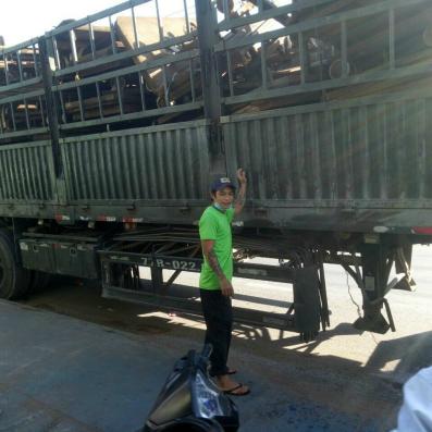 Bốc Xếp KCN Đại Đăng 