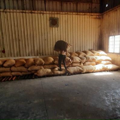 Công Ty Bốc xếp Giá rẻ nhất tại Tp Thuận An