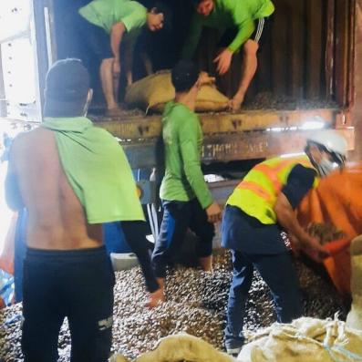 BỐC XẾP KCN Đông Nam Á (Bắc Tân Tập)