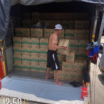 Dịch vụ bốc xếp giá rẻ Phường Tân Bình